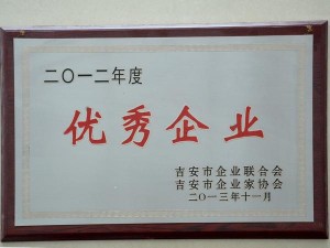 2012年度優(yōu)秀企業(yè)